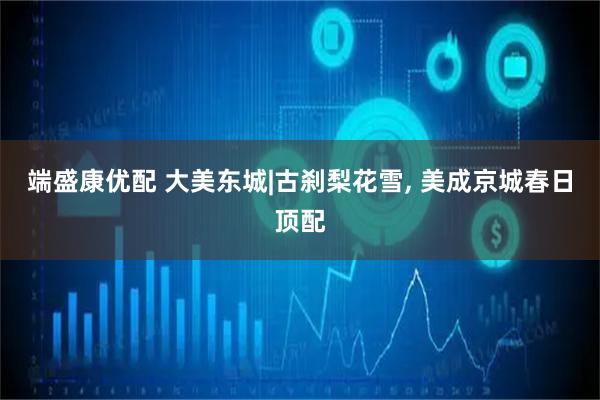 端盛康优配 大美东城|古刹梨花雪, 美成京城春日顶配